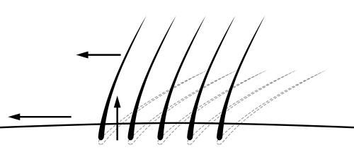Как натянуть кожу во время бритья Как натянуть кожу во время бритья