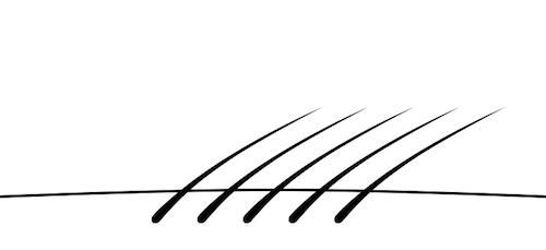 Направление роста волос Направление роста волос